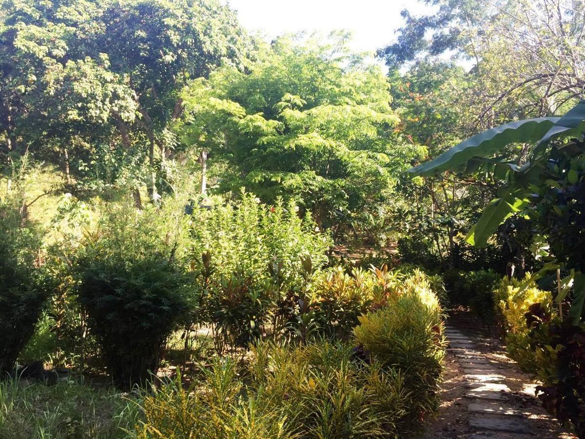 Garden Bay Beach Resort El Nido Bagian luar foto