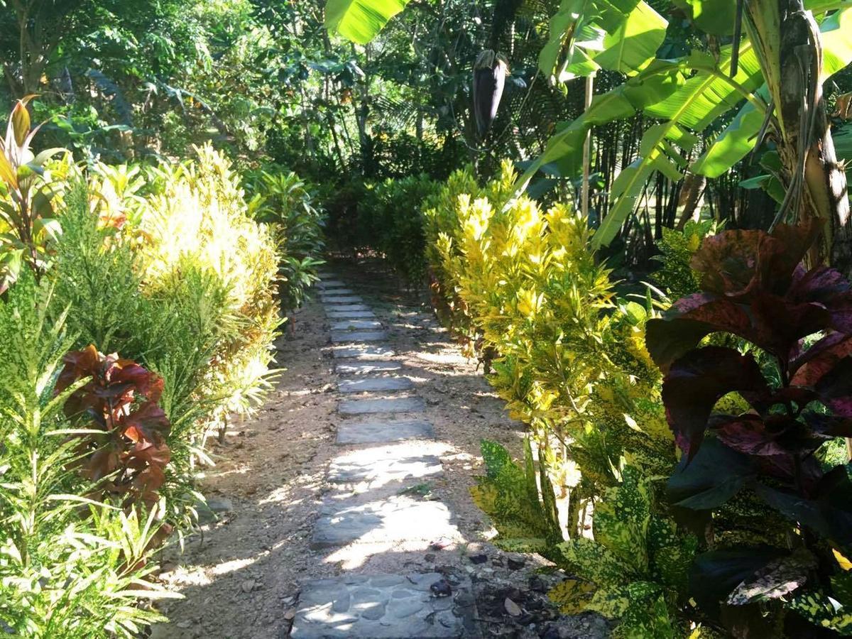 Garden Bay Beach Resort El Nido Bagian luar foto